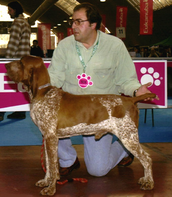 michael fusetti